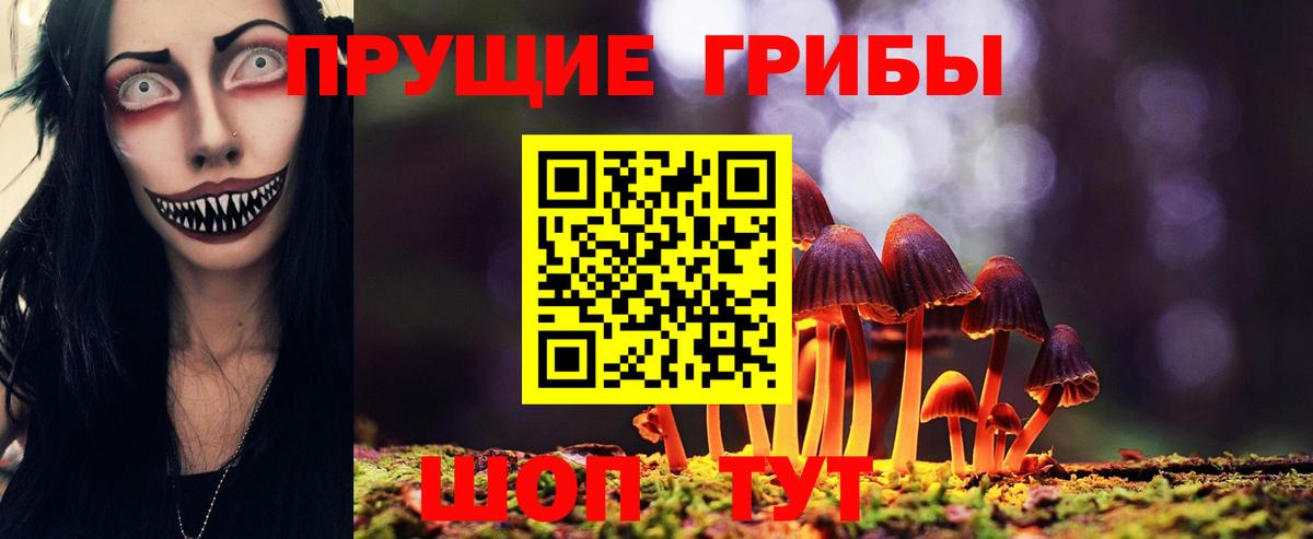 Краснознаменск  Галлюциногенные грибы GOLDEN TEACHER  Вход с VPN 
